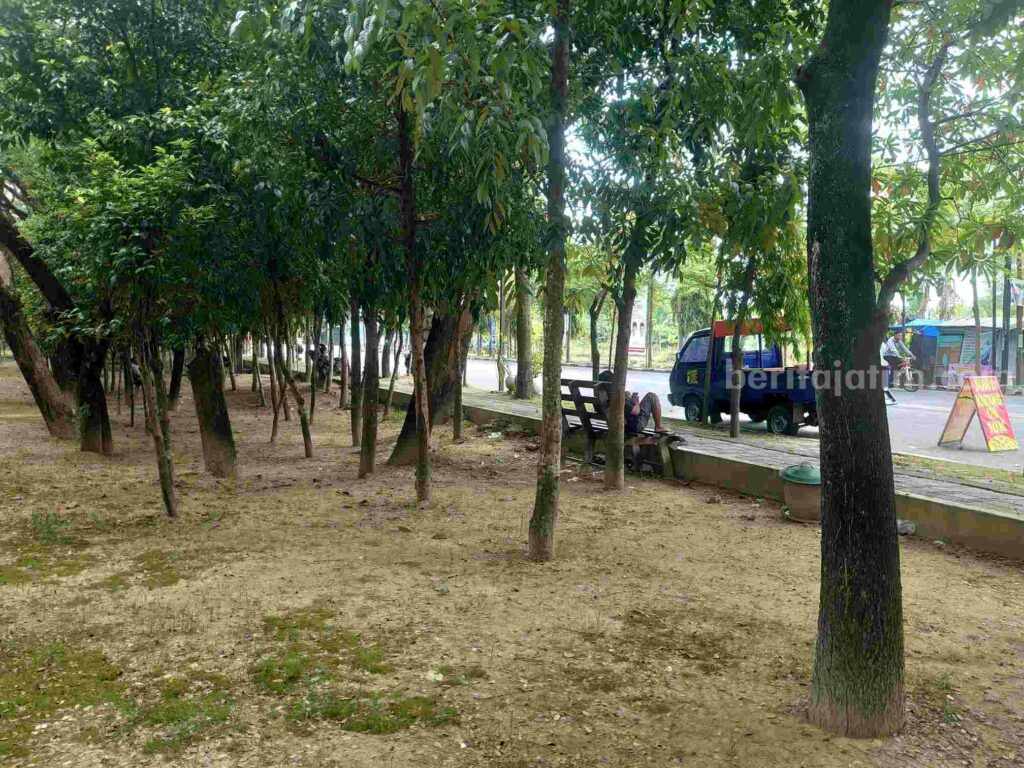 Kondisi Hutan Kota di Jalan Veteran Kabupaten Bojonegoro sebelum kursi dibersihkan DLH.