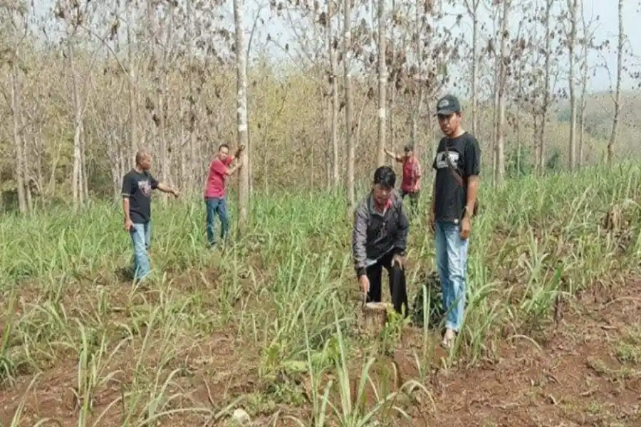 Hutan Blitar