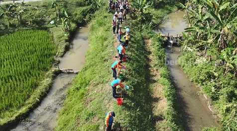 Lamongan Tanam 1.500 Bambu Betung di Bantaran Sungai Kegiatan penanaman bambu yang digelar di Bantaran Sungai Mengkuli, Desa Gedangan Kecamatan Sukodadi, Lamongan (Foto: A. Thoriq Hidayatullah/beritajatim.com)