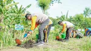 Bupati Lamongan saat menanam bambu betung