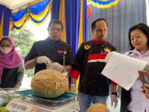 Bakso Malang Fest atau festival bakso di Balai Kota Malang.
