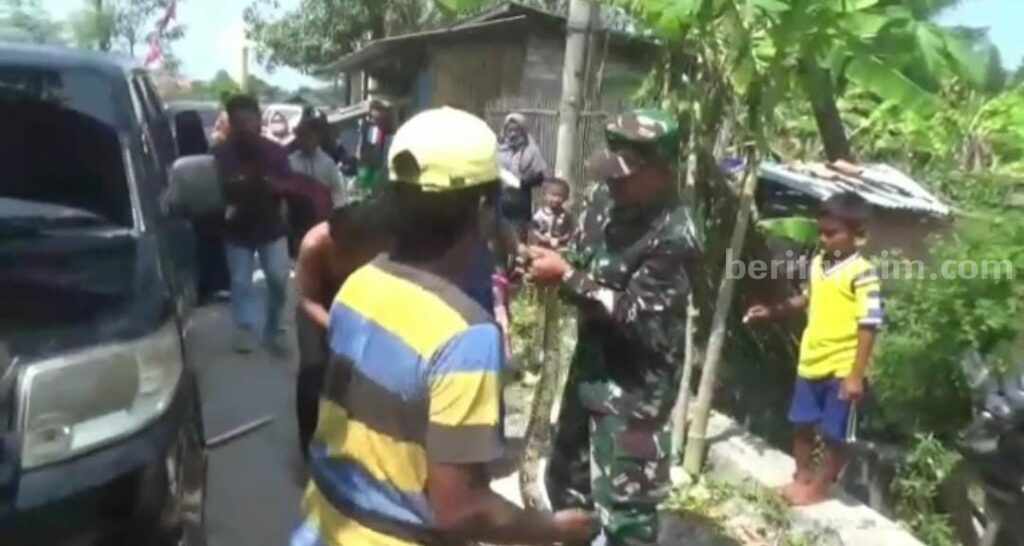Potongan gambar evakuasi ular sanca dari mobio Kodim 0829 Bangkalan (Foto: Zamachsari/beritajatim.com)