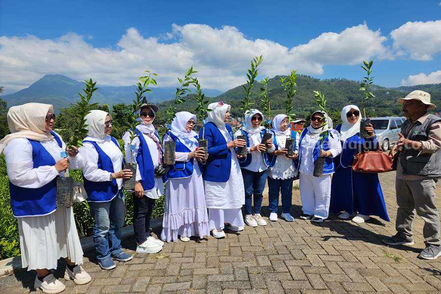 IWAPI Jatim membagikan bibit jeruk