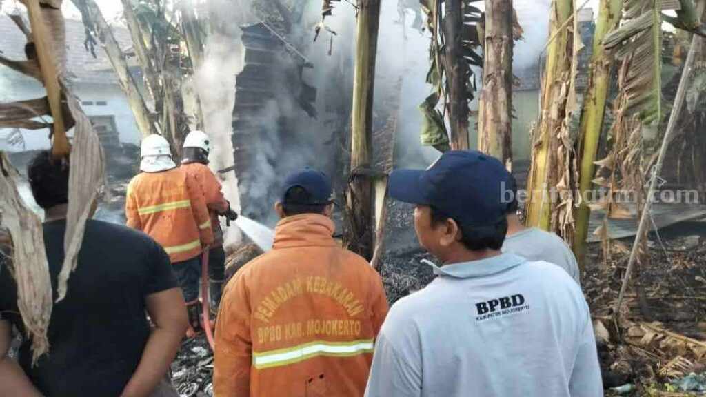 Petugas PMK BPBD Kabupaten Mojokerto melakukan pemadaman. [Foto : ist]