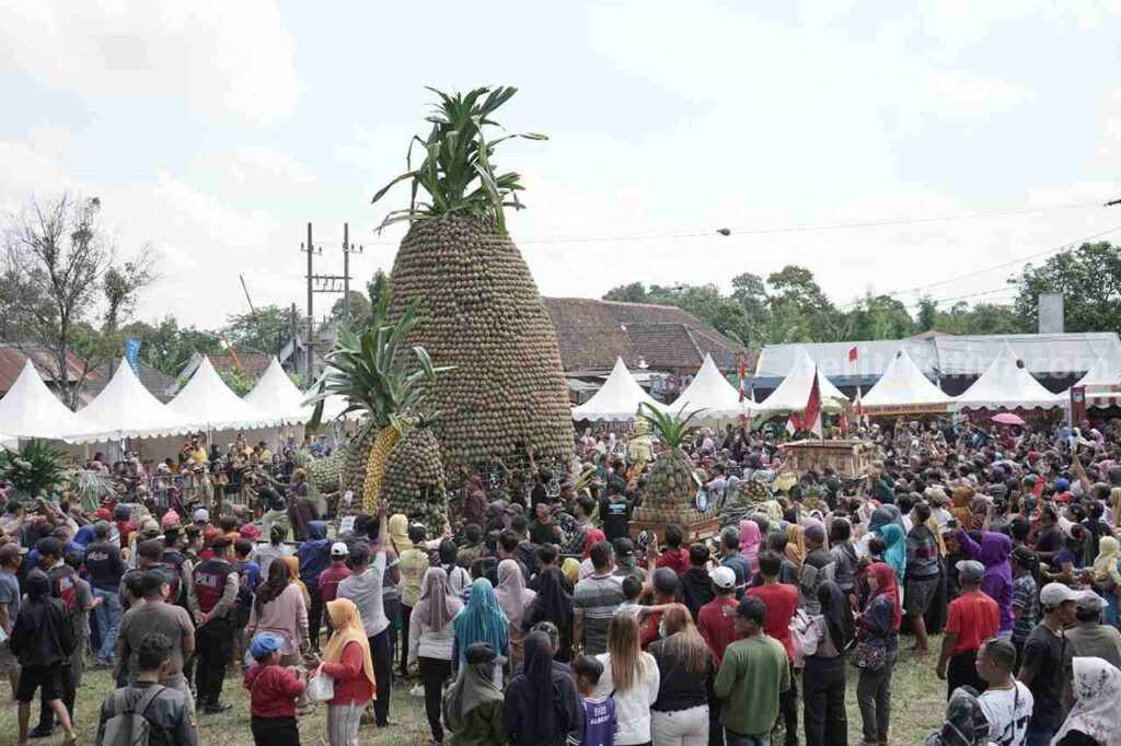 Pineaplle Festival Kediri, Upaya Masbup Dhito Optimalkan Potensi Nanas