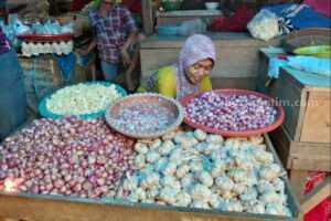 Harga Bawang Merah dan Bawang Putih di Sumenep Melambung bawang merah dan putih