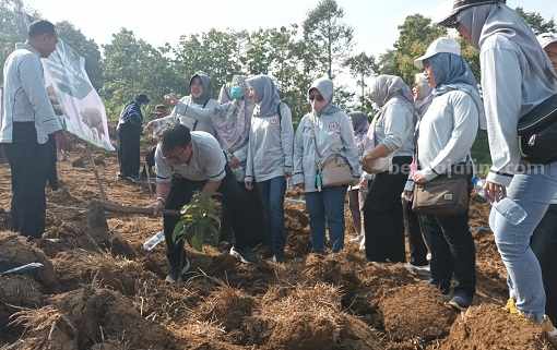 Dokter di Jombang Tanam Ratusan Pohon Buah di Wonosalam IDI Cabang Jombang melakukan penanaman pohon di kawasan perbukitan Wonosalam, Minggu (28/5/2023)