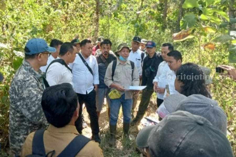tebang kayu