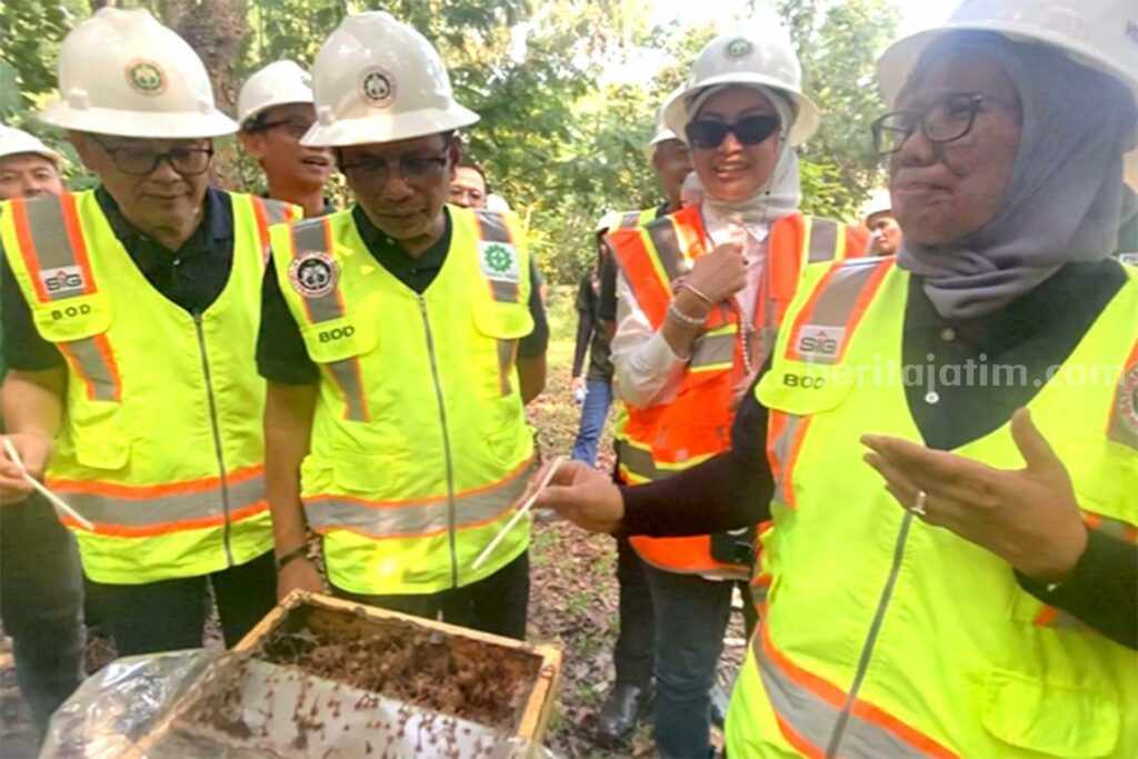 Inilah Istimewa Lebah Trigona di Lahan Pascatambang Semen Baturaja Direktur Utama SIG, Donny Arsal (kedua kiri) melihat budidaya lebah trigona di area green house lahan reklamasi pascatambang Pabrik Baturaja, Desa Pusar, Kecamatan Baturaja Barat, Kabupaten Ogan Komering Ulu, Provinsi Sumatra Selatan.