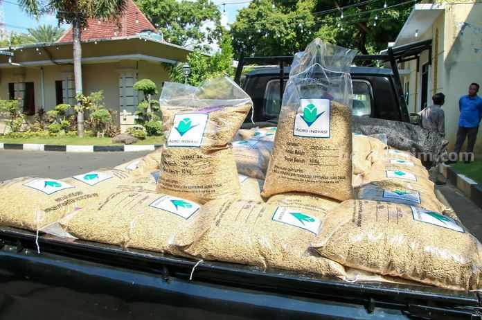 Bantuan benih padi varietas Inpari 32 dan Inpari 47 dari Badan Standardisasi Instrumen Pertanian (BSIP) Jawa Timur untuk Lamongan.