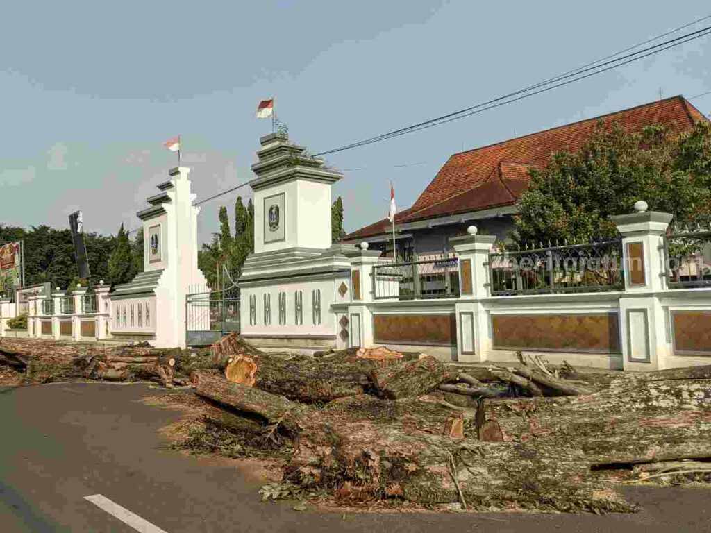 Pohon pengayom di Jalan Pahlawan usai dipangkas.