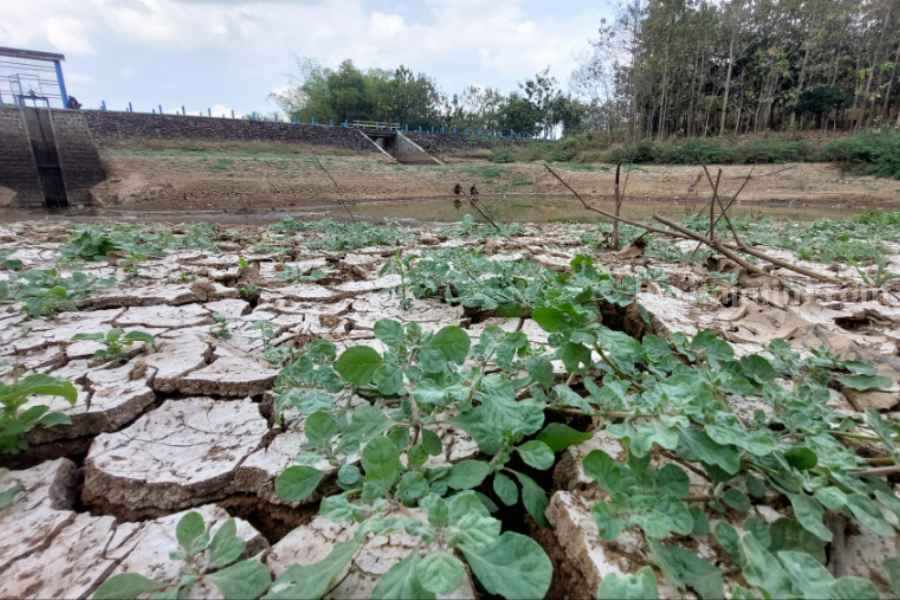 Embung Tamanarum Magetan Dangkal, Petani Kelimpungan Kondisi Embung Tamanarum Parang yang makin mendangkal dan kini sudah mulai mengering. (Foto: Fatihah Ibnu Fiqri/beritajatim.com)