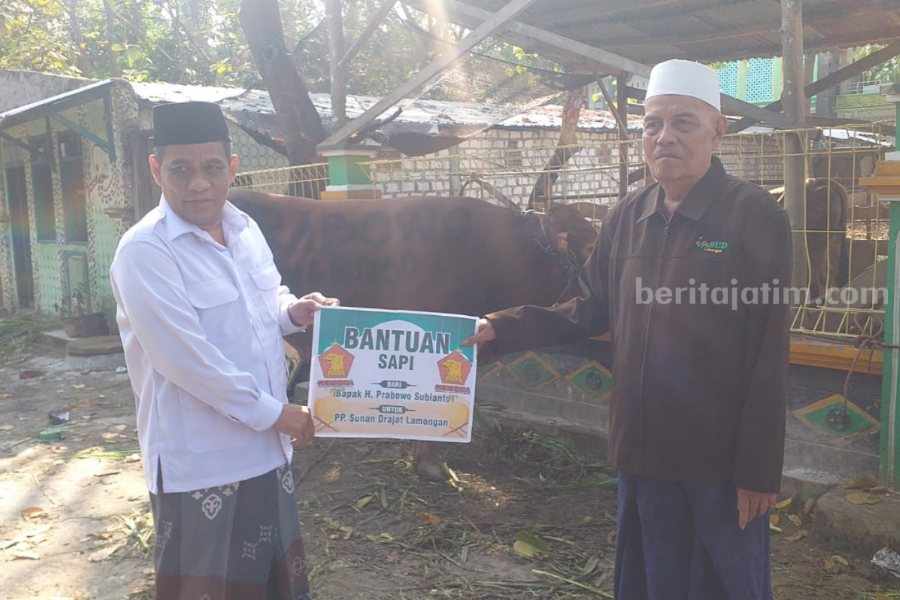 Prabowo Subianto Kirim Sapi Kurban Limousin Bobot 850 Kg ke Ponpes Sunan Drajat Lamongan Sapi pemberian Prabowo Subianto yang diserahkan secara simbolis oleh Ketua DPC Gerindra Lamongan kepada Pengasuh Ponpes Sunan Drajat.