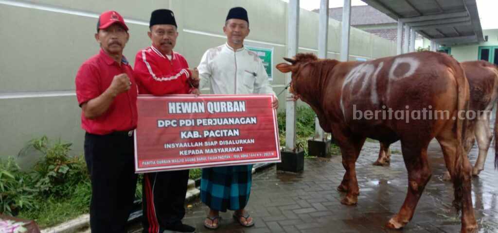 Hewan Kurban DPC PDI Perjuangan Kabupaten Pacitan.