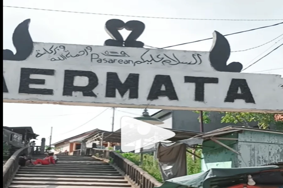 Aermata