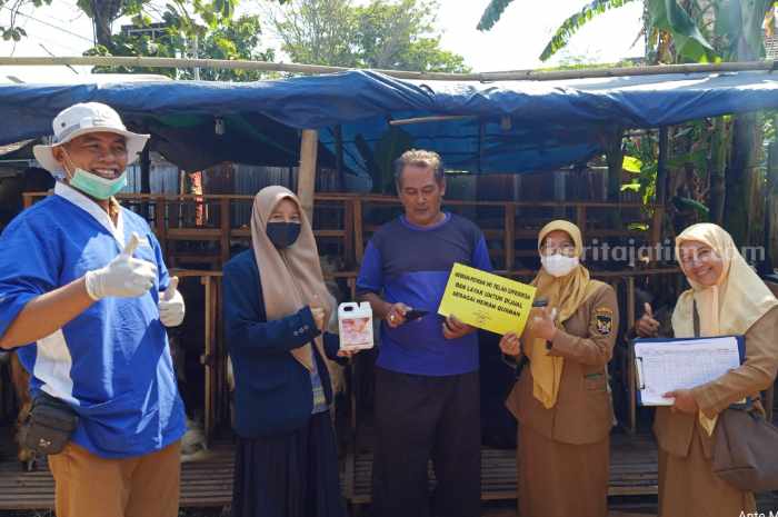 Hewan Kurban Kediri