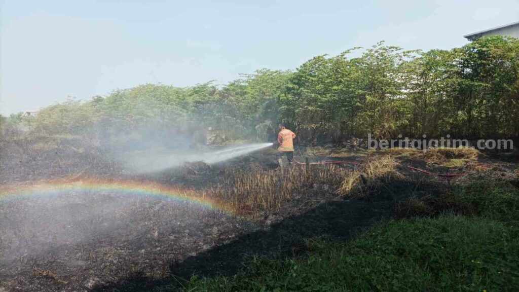 Petugas Damkarla Gresik saat berupaya memadamkan api yang menghanguskan padang