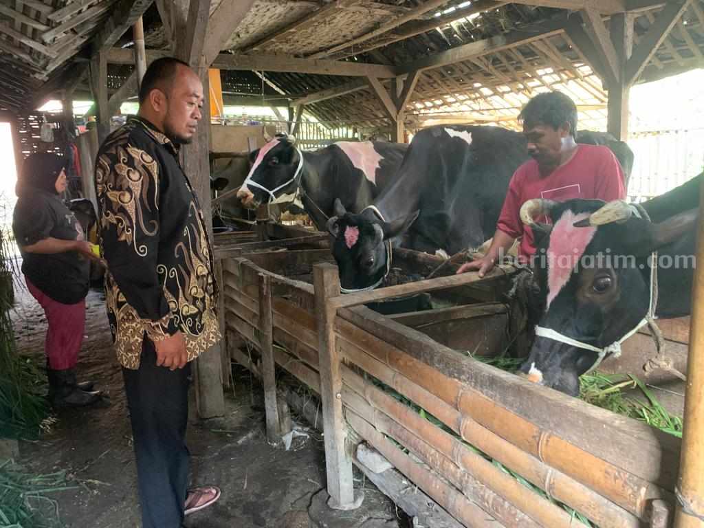 Wakil Ketua DPRD Kabupaten Malang, Sodikul Amin, Rabu (7/6/2023).