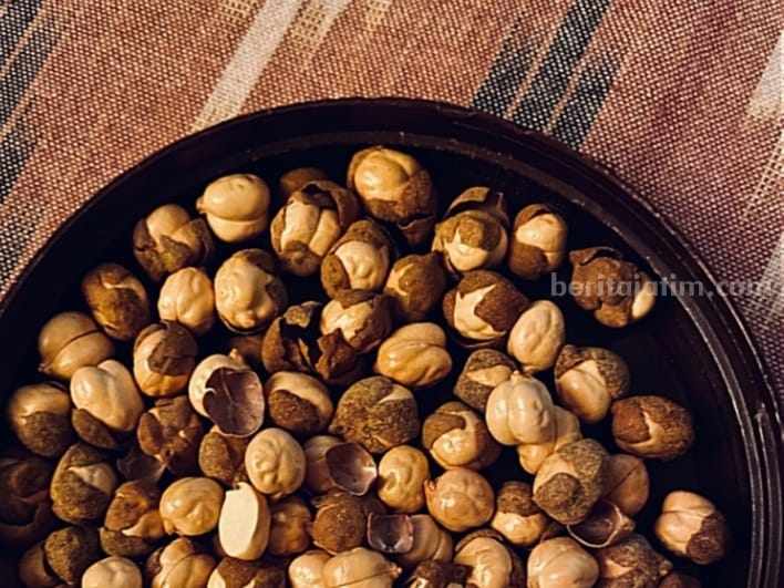 Hazelnut atau kacang hazel yang dikira kemiri oleh seorang TikTokers.