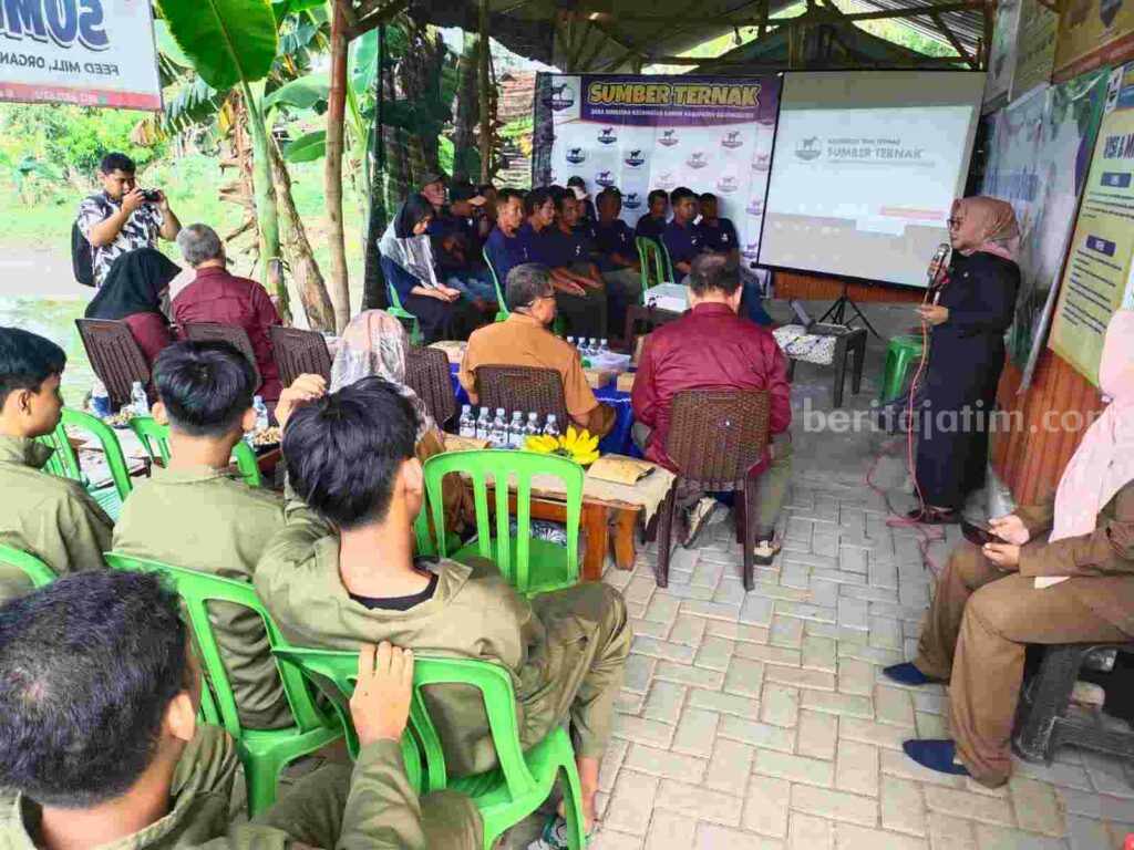Kelompok Tani Ternak (KTT) Sumber Ternak di Desa Simbatan Kecamatan Kanor Kabupaten Bojonegoro mewakili daerah dalam perlombaan agrobis ternak tingkat Jawa Timur.