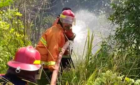Tiang Listrik di Area Akses Suramadu Nyaris Terbakar Petugas pemadam kebakaran saat memadamkan api di area Suramadu (Foto: Zamachsari/beritajatim.com)