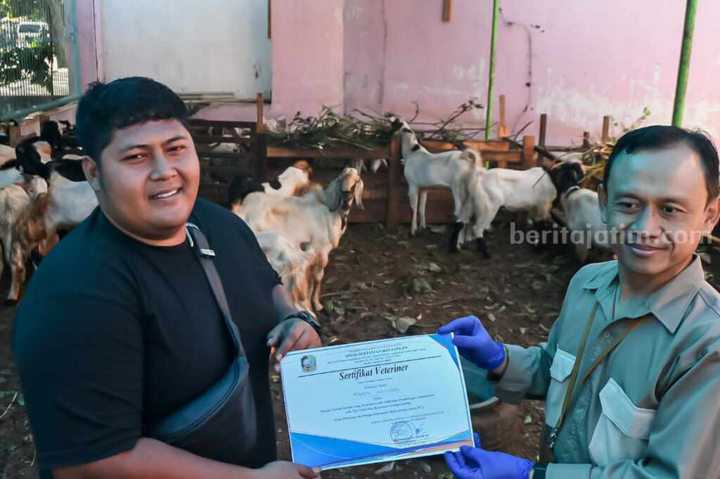 Petugas Disperta Pangan Banyuwangi saat memberikan sertifikat veteriner kepada pedagang hewan kurban.