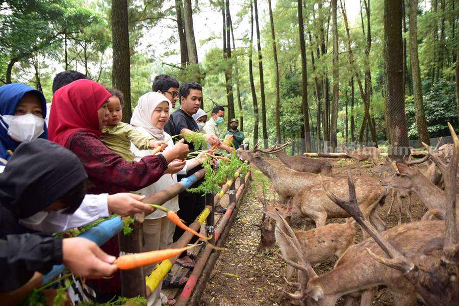 Destinasi Wisata Jatim