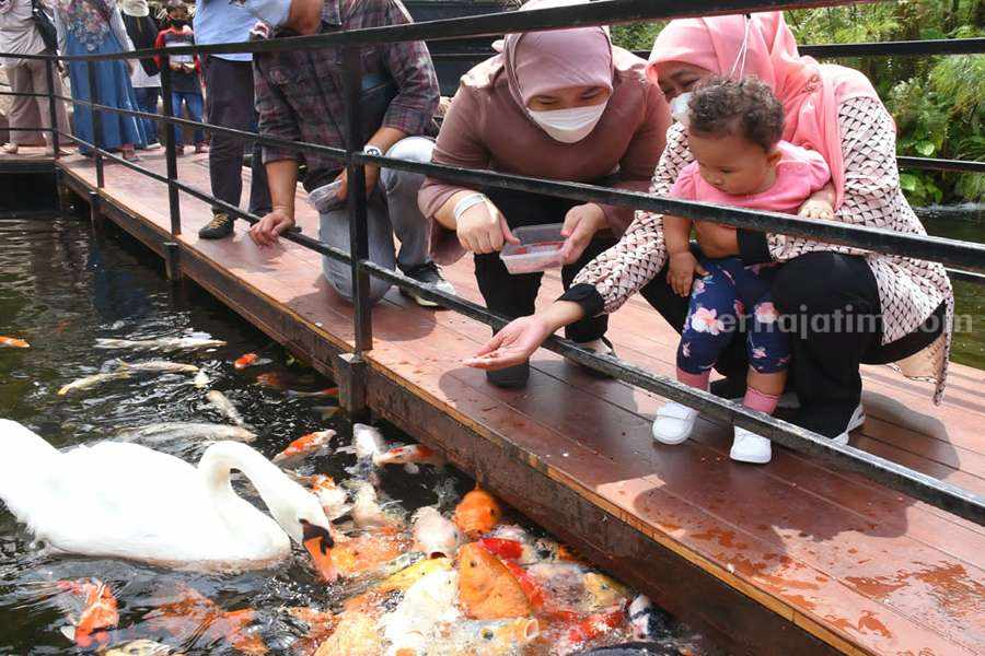 Surabaya Zoo