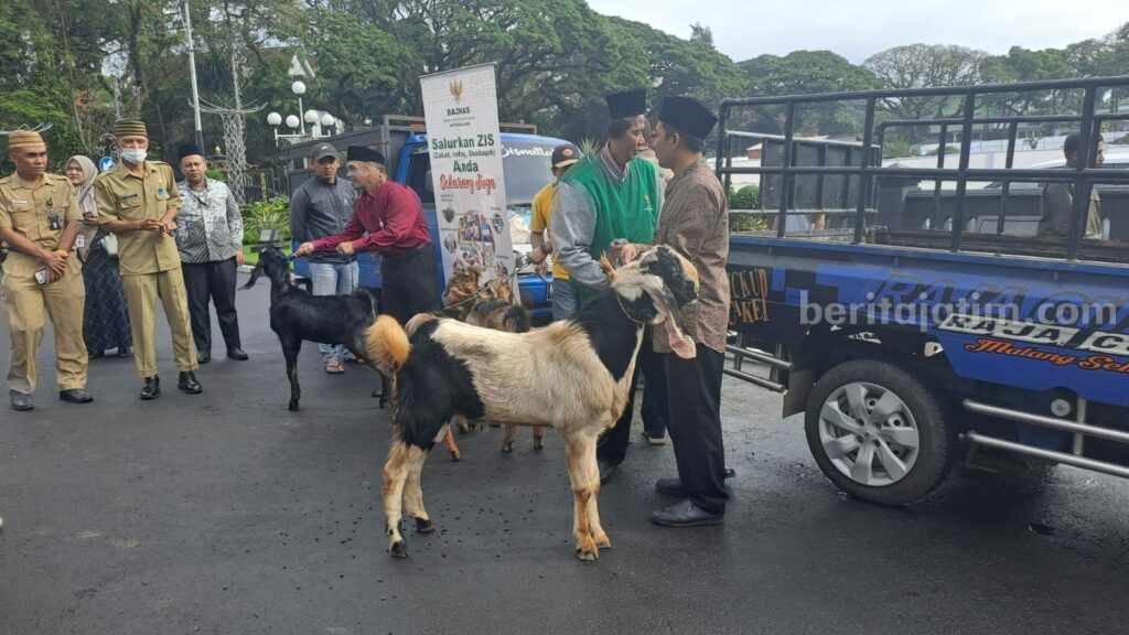 BPF Salurkan Hewan Kurban Lewat Pemkot Malang