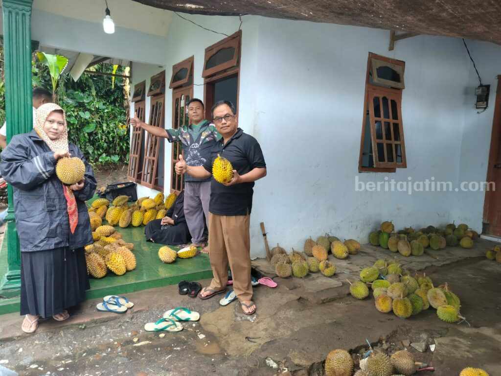 Durian bakal jadi Ikon Baru Desa Wirotaman, Kecamatan Ampelgading, Kabupaten Malang, Rabu (28/6/2023).