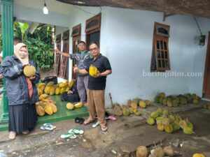 Durian bakal jadi Ikon Baru Desa Wirotaman, Kecamatan Ampelgading, Kabupaten Malang, Rabu (28/6/2023).