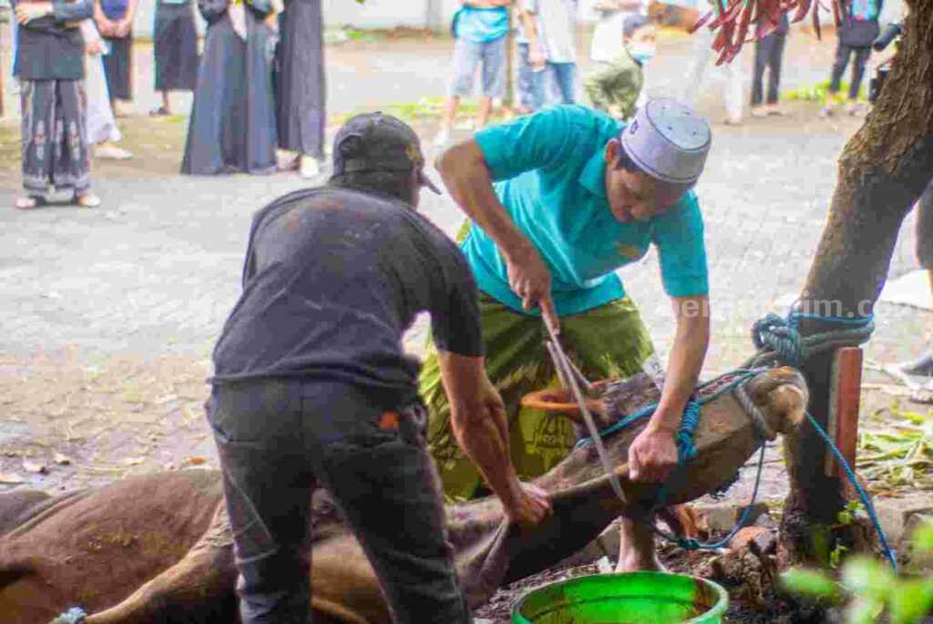 Dosen Aswaja Jember: Indonesia Butuh Fikih Antistunting
