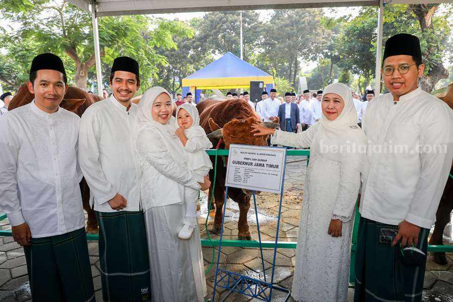 Sapi Kurban Khofifah untuk Tujuh Almarhum Gubernur dan Wagub Jatim Sapi Kurban