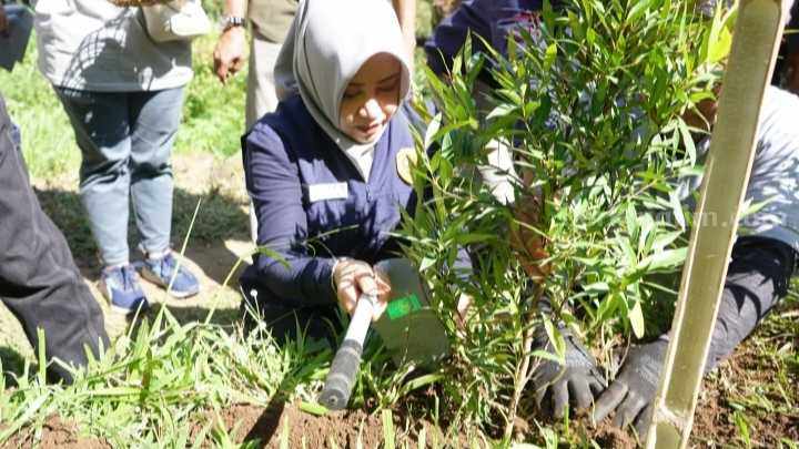 Bupati Mojokerto, Ikfina Fahmawati saat menghadiri Aksi Tanam Pohon di Wisata Alam Sari, Puthuk Panggang Welut, Desa Nogosari, Kecamatan Pacet, Kabupaten Mojokerto. [Foto : ist]