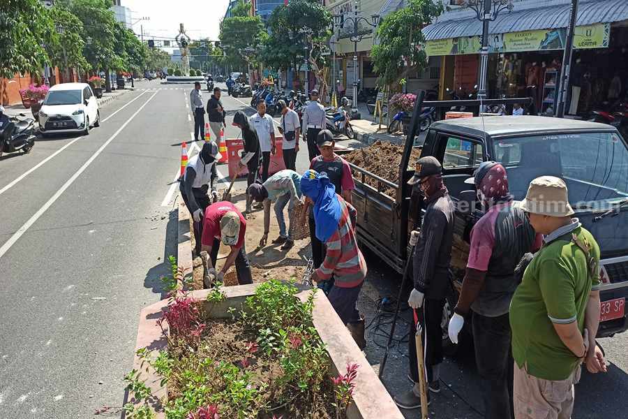Petugas dari DPUPKP Ponorogo melakukan proses pembongkaran taman di tengah-tengah jalan HOS Cokroaminoto. (Foto/Endra Dwiono)