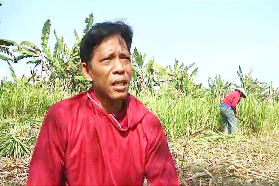 Jelang Iduladha, Petani Rumput Pakan di Ponorogo Banjir Orderan Jelas Iduladha, petani rumput pakan di Ponorogo banjir orderan. Salah satunya Badarudin. Tampak Badarudin saat berada lahan pakan rumput odot miliknya. (Foto/Istimewa)
