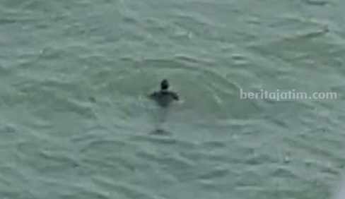 Pencarian Pria Bunuh Diri di Jembatan Suramadu Masih Nihil Potongan video amatir seorang pria bunuh diri dari jembatan Suramadu (Foto: Zamachsari/beritajatim.com)
