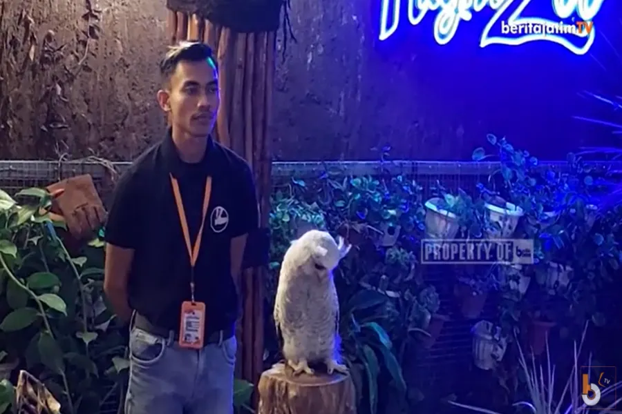 Surabaya Night Zoo