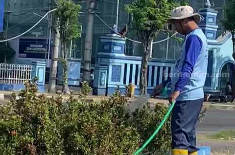 Begini Kata DLH dan Disperindag Magetan Soal Tanaman Layu di Taman Pesawat PPU Maospati Petugas Disperindag saat menyiram tanaman yang layu dan videonya viral padahal baru ditata pada November 2022 lalu oleh DLH.