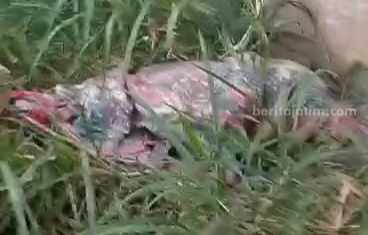 Tangkapan layar video bungkusan karpet yang isinya mayat seseorang pada Kamis (29/6/2023).