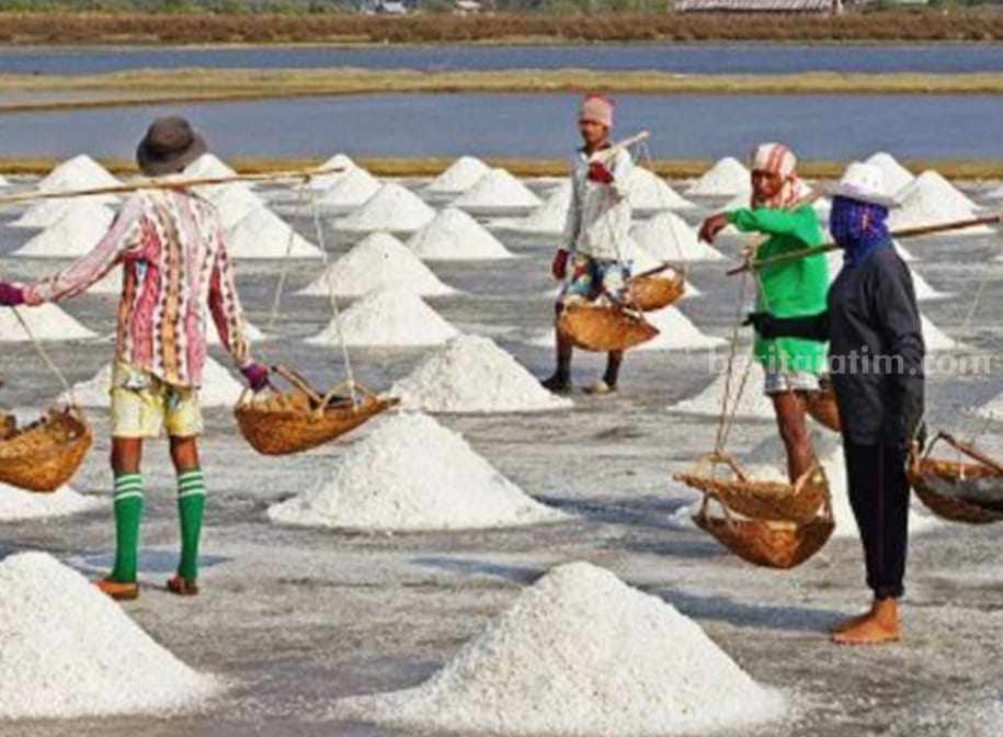 Pengusaha Garam Lokal Menjerit, Stok Garam Habis Terpaksa Rumahkan Karyawan