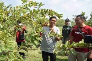 Kampung Tani Produktif Kediri