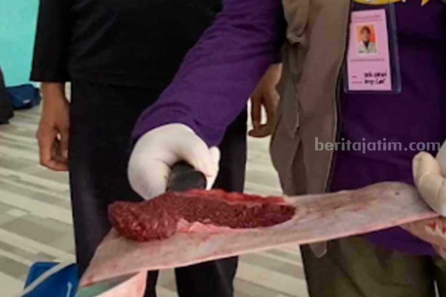 Tren Idul Adha 2024: Tradisi Berkurban dan Inovasi di Era Digital Persatuan Dokter Hewan Indonesia (PDHI) Jawa Timur VIII menunjukkan hati hewan kurban yang terjangkit cacing hati.