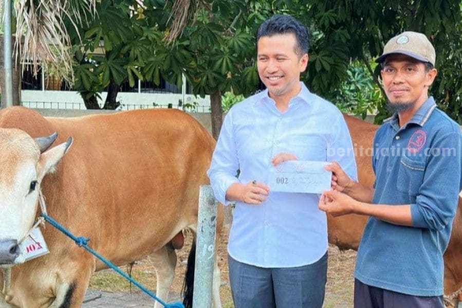 sapi emil