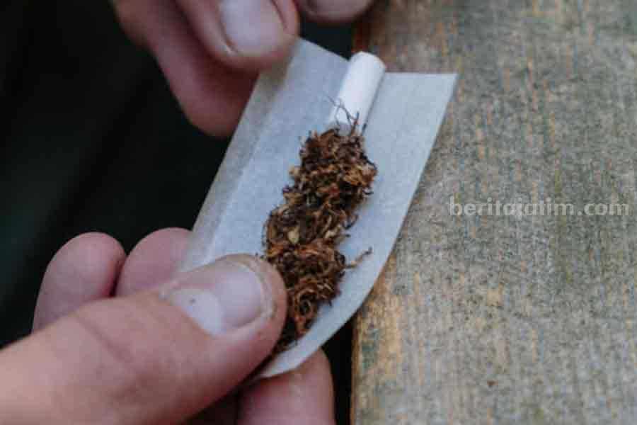 Ilustrasi produksi tembakau kering untuk rokok (sumber ilustrasi: pexels/cottonbro studio)