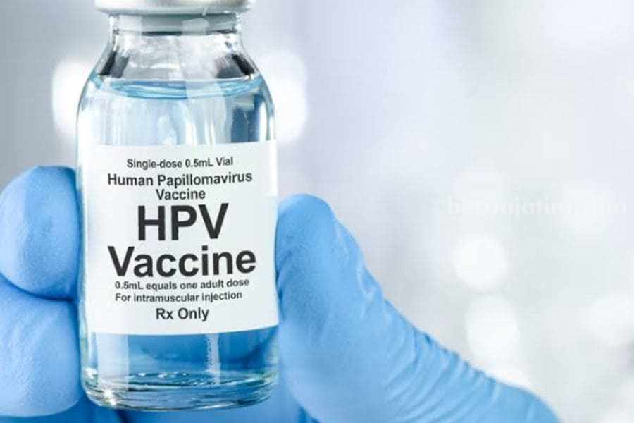 vaksin hpv