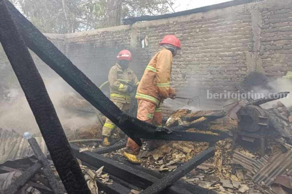 Petugas Damkar saat menjinakkan api yang membakar dapur dan kandang sapi milik warga.