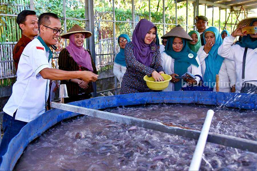 Kolam budi daya ikan lele di perumahan Mutiara Graha Mutiara Desa Kebonagung Kecamatan Sukodono Kolam budi daya ikan lele di perumahan Mutiara Graha Mutiara Desa Kebonagung Kecamatan Sukodono