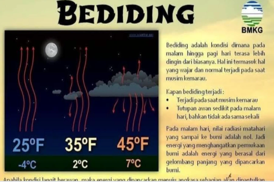 Musim Bediding