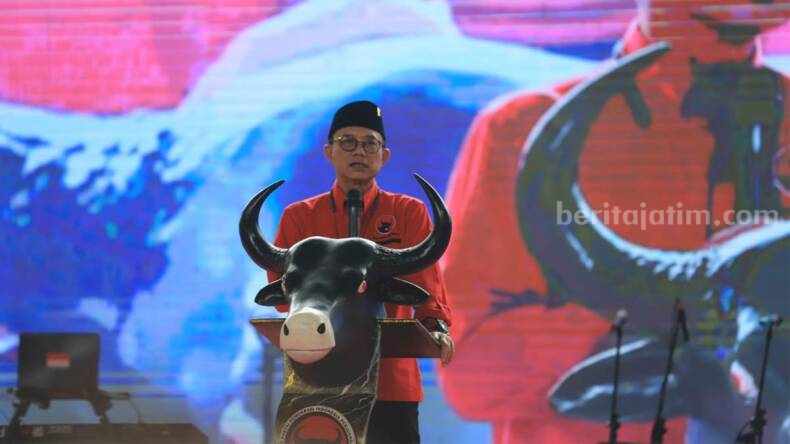 PDIP